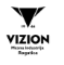 Vizion